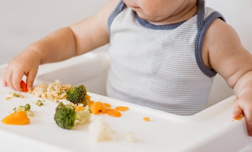 Notícias Dicas para identificar seletividade alimentar na criança